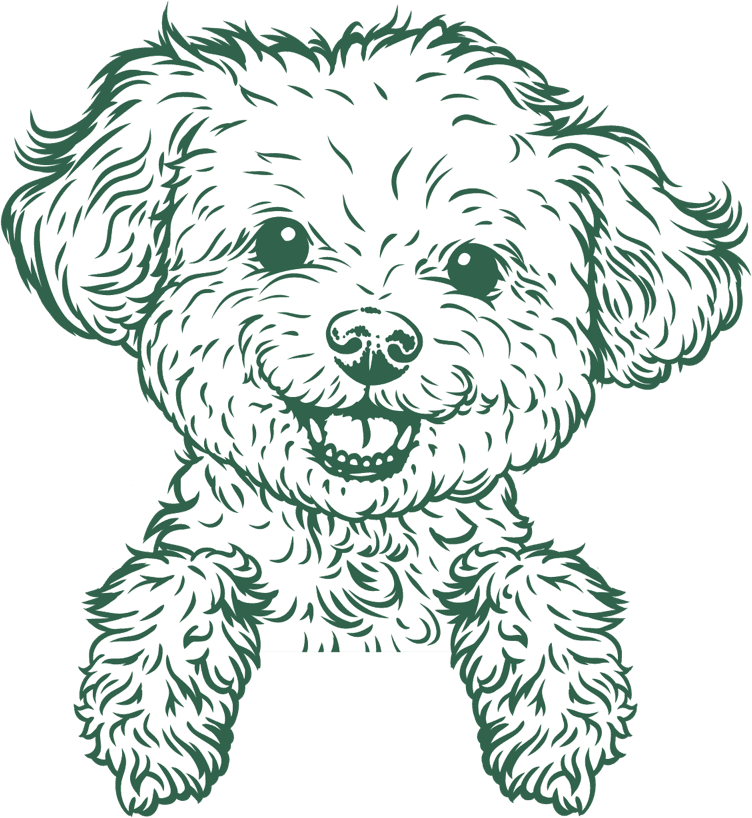 dog illustration