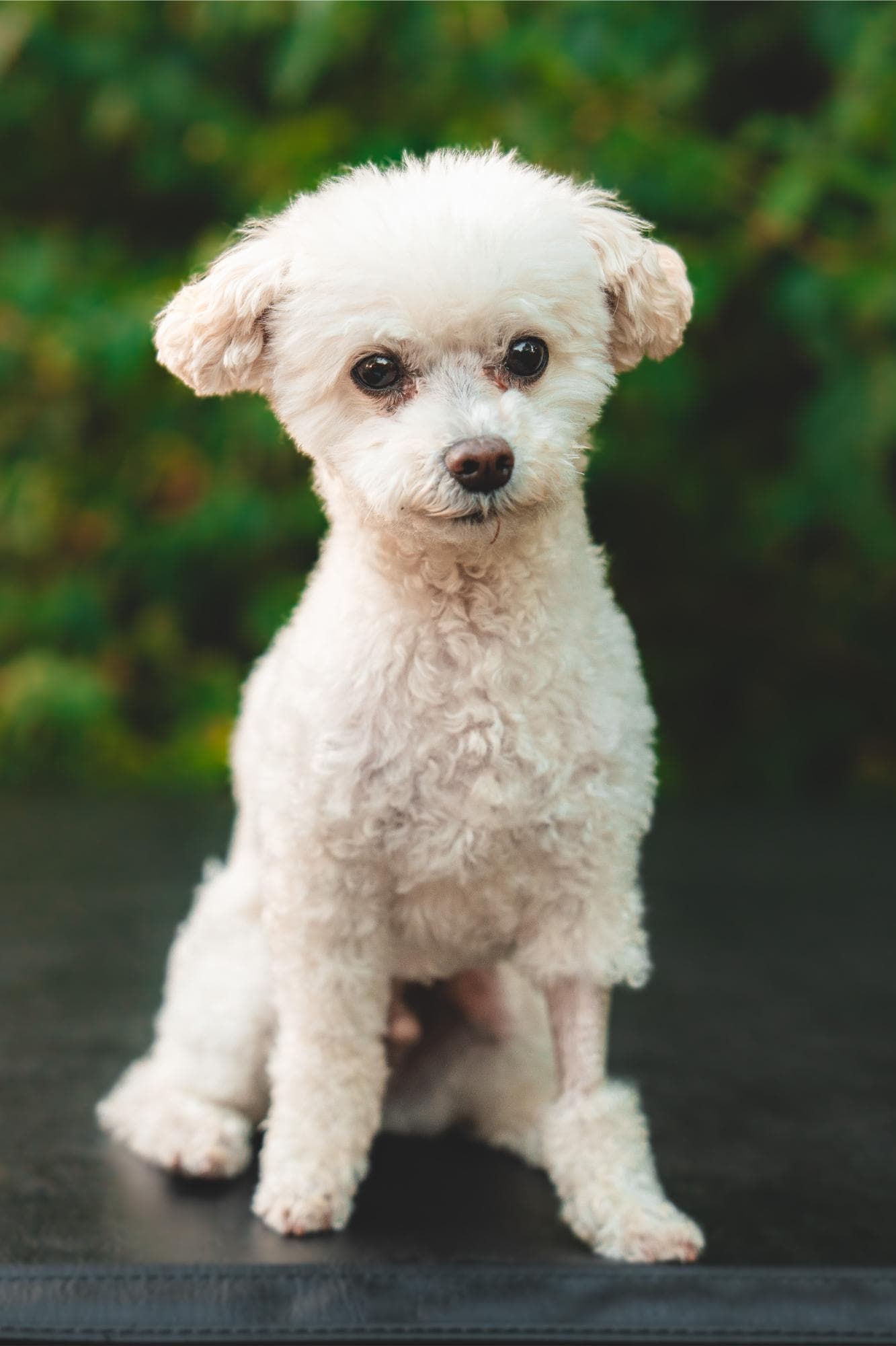 zionsville orthodontics